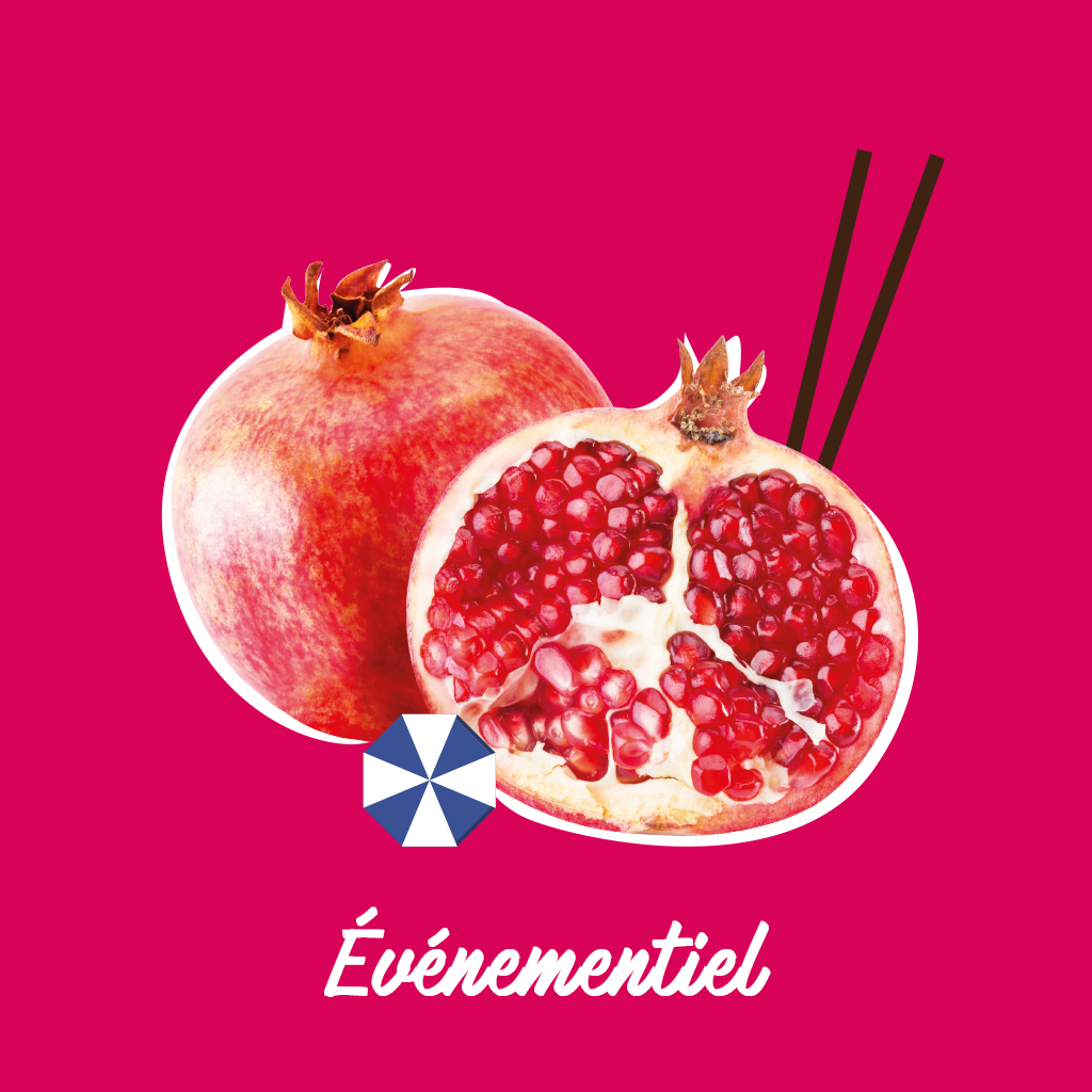 SAY TOUT COM - EVENEMENTIEL