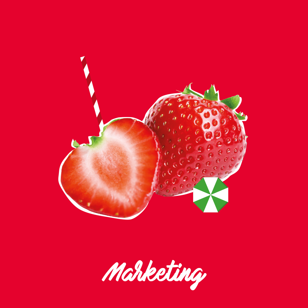 SAY TOUT COM - MARKETING