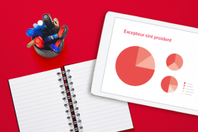 SAY TOUT COM - MARKETING OPERATIONNEL ET FIDELISATION