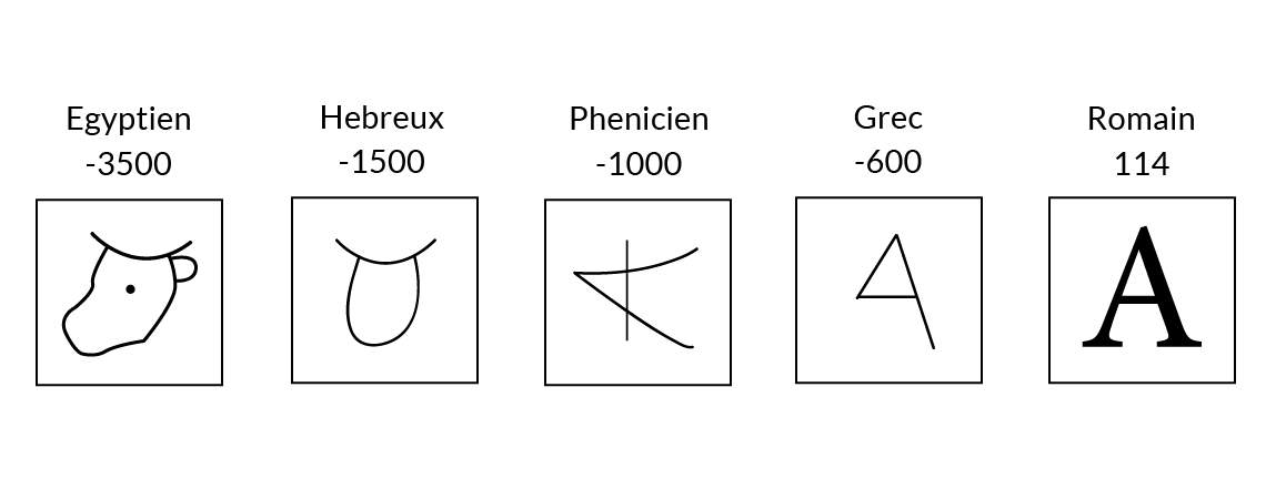 La typographie, une histoire de lettres