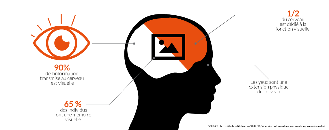 L'infographie retient davantage l'attention