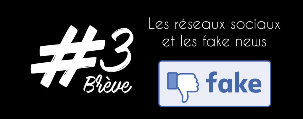 BRÈVE 3 : Les réseaux Sociaux et les Fake News, un cocktail détonnant !